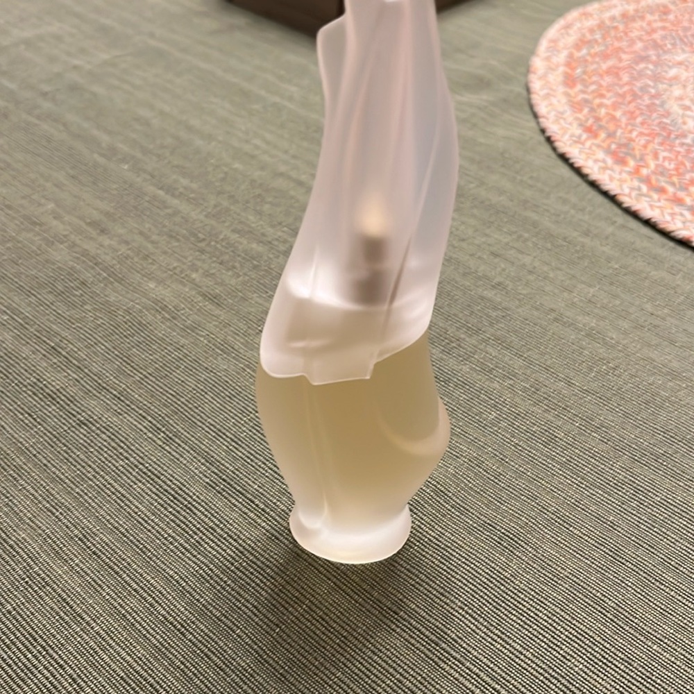 NWOT Cashmere Mist Eau de Toilette Spray Vaporisateur, 1.7 Fl. Oz.! *not in box!